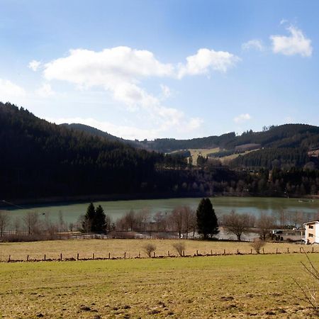 Fewo Hoher Eimberg Niedersfeld Leilighet Winterberg Eksteriør bilde